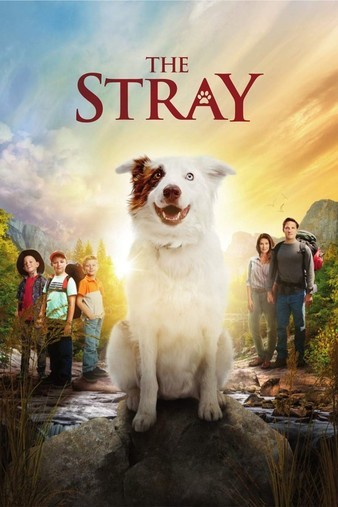 The.Stray.2017.1080p.BluRay.REMUX.AVC.DTS-HD.MA.5.1-FGT