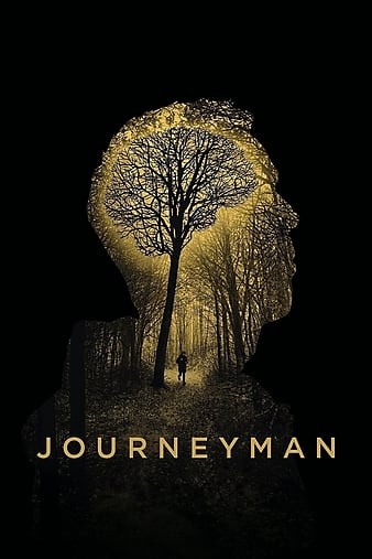 Journeyman.2017.1080p.BluRay.REMUX.AVC.DTS-HD.MA.5.1-FGT