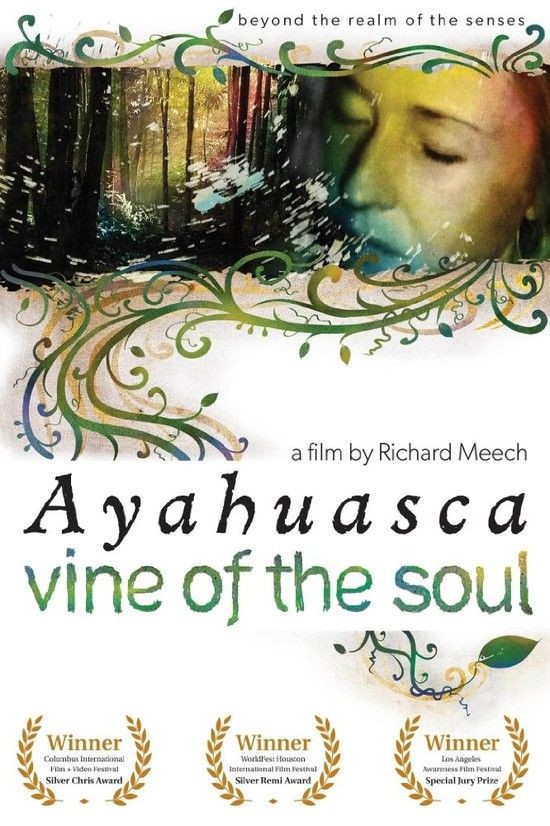 Ayahuasca.Vine.of.the.Soul.2010.1080p.WEBRip.DD5.1.x264-monkee