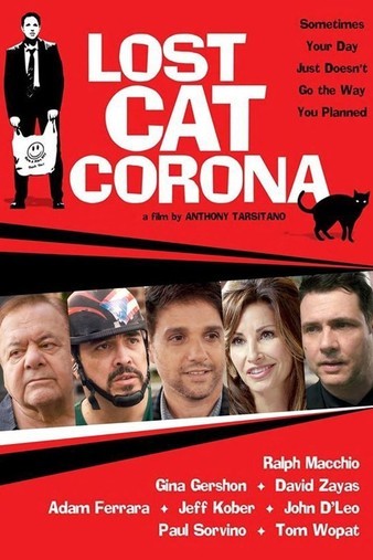 Lost.Cat.Corona.2017.720p.HDTV.x264-REGRET