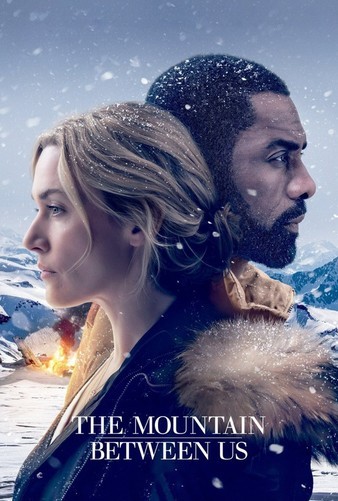 The.Mountain.Between.Us.2017.2160p.BluRay.x265.10bit.SDR.DTS-HD.MA.7.1-SWTYBLZ