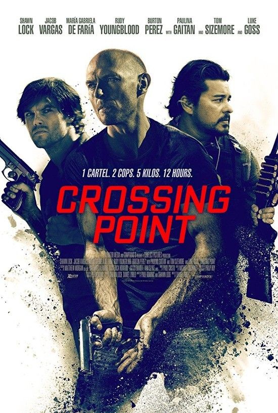 Crossing.Point.2016.1080p.BluRay.x264-NTROPiC