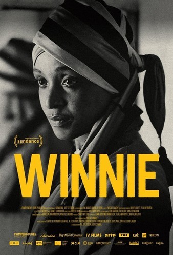 Winnie.2017.1080p.WEB.x264-AMRAP